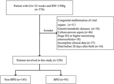 Neonatal sequential organ failure assessment score within 72 h after delivery reliably predicts bronchopulmonary dysplasia in very preterm infants